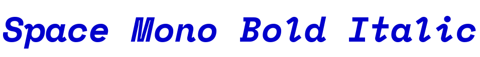 Space Mono Bold Italic police de caractère